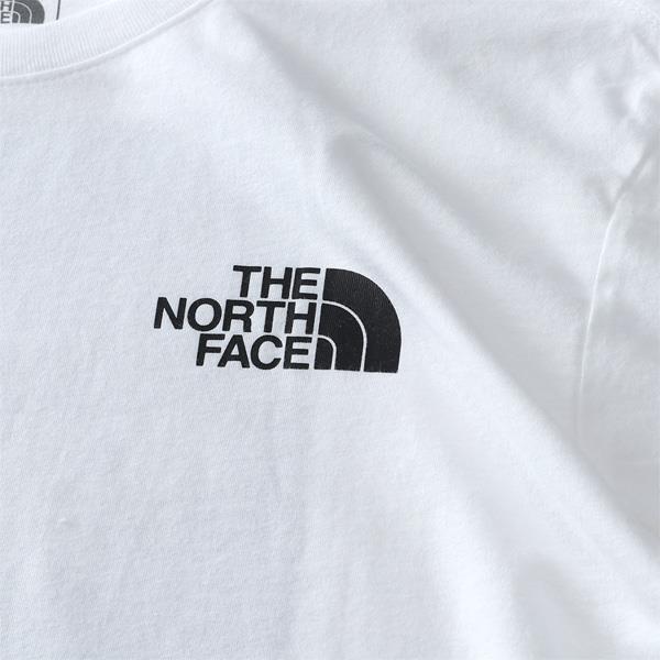 【bb1020】大きいサイズ メンズ THE NORTH FACE ノースフェイス ロンT 長袖 Tシャツ バックプリント BOX NSE TEE USA直輸入 nf0a4762-la9