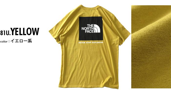 大きいサイズ メンズ THE NORTH FACE ノースフェイス 半袖 プリント Tシャツ SS BOX NSE TEE USA直輸入 nf0a4763-81u