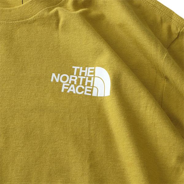 大きいサイズ メンズ THE NORTH FACE ノースフェイス 半袖 プリント Tシャツ SS BOX NSE TEE USA直輸入 nf0a4763-81u