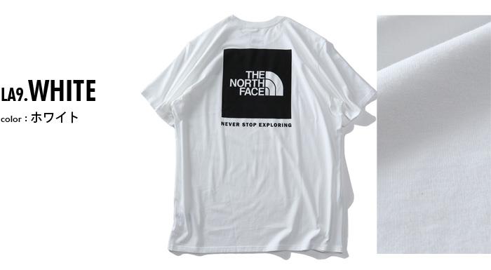 大きいサイズ メンズ THE NORTH FACE ノースフェイス 半袖 プリント Tシャツ SS BOX NSE TEE USA直輸入 nf0a4763-la9