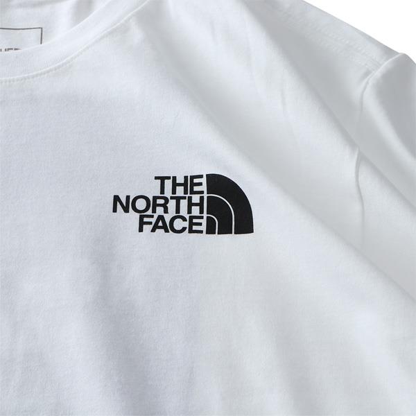 大きいサイズ メンズ THE NORTH FACE ノースフェイス 半袖 プリント Tシャツ SS BOX NSE TEE USA直輸入 nf0a4763-la9