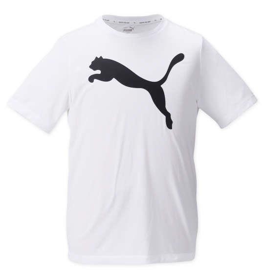 大きいサイズ メンズ PUMA アクティブビッグロゴ 半袖 Tシャツ プーマホワイト 1278-3200-1 2XL 3XL 4XL