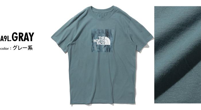 大きいサイズ メンズ THE NORTH FACE ノースフェイス プリント 半袖 Tシャツ SS BOXED IN TEE USA直輸入 nf0a475a-a9l