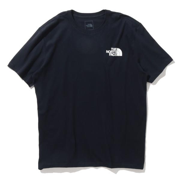 大きいサイズ メンズ THE NORTH FACE ノースフェイス 半袖 プリント Tシャツ SS BOX NSE TEE USA直輸入 nf0a4763-6d1