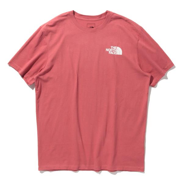 大きいサイズ メンズ THE NORTH FACE ノースフェイス 半袖 プリント Tシャツ SS BOX NSE TEE USA直輸入 nf0a4763-396