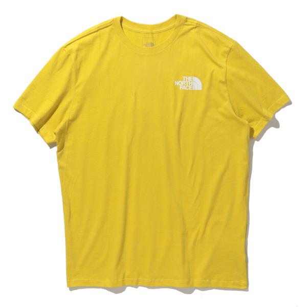 大きいサイズ メンズ THE NORTH FACE ノースフェイス 半袖 プリント Tシャツ SS BOX NSE TEE USA直輸入 nf0a4763-760