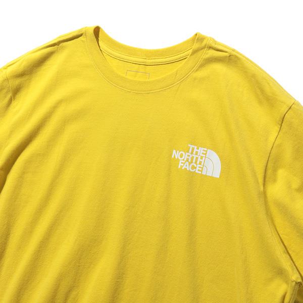 大きいサイズ メンズ THE NORTH FACE ノースフェイス 半袖 プリント Tシャツ SS BOX NSE TEE USA直輸入 nf0a4763-760