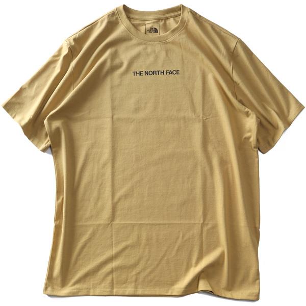 大きいサイズ メンズ THE NORTH FACE ノースフェイス プリント 半袖 Tシャツ SS LOGO PLAY TEE USA直輸入 nf0a5gmm-zsf