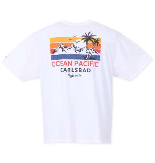 大きいサイズ メンズ OCEAN PACIFIC 天竺ポケット付 半袖 Tシャツ ホワイト 1278-3297-1 3L 4L 5L 6L 8L