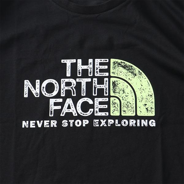 【bb0623】大きいサイズ メンズ THE NORTH FACE ノースフェイス プリント 半袖 Tシャツ RUST TEE USA直輸入  nf0a4m68-h21