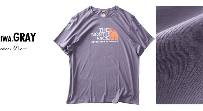 大きいサイズ メンズ THE NORTH FACE ノースフェイス プリント 半袖 Tシャツ RUST TEE USA直輸入 nf0a4m68-iwa