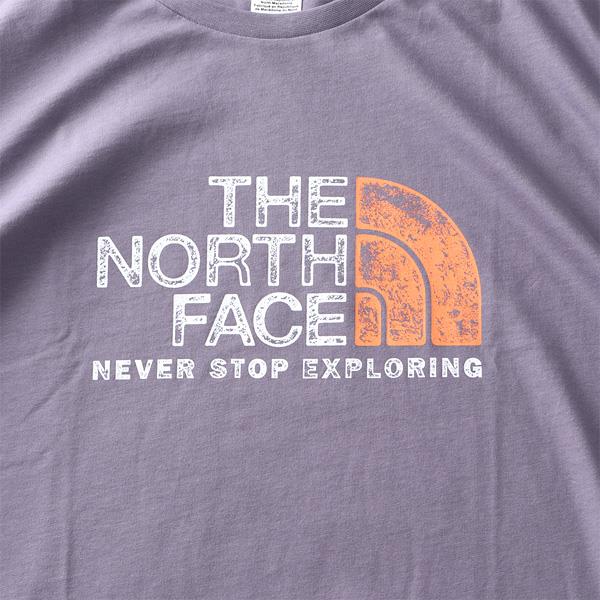 大きいサイズ メンズ THE NORTH FACE ノースフェイス プリント 半袖 Tシャツ RUST TEE USA直輸入 nf0a4m68-iwa