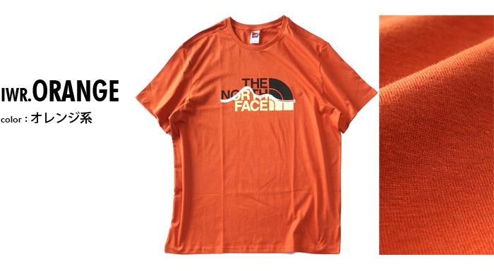 大きいサイズ メンズ THE NORTH FACE ノースフェイス プリント 半袖 Tシャツ MOUNTAIN LINE TEE USA直輸入 nf0a7x1n-iwr