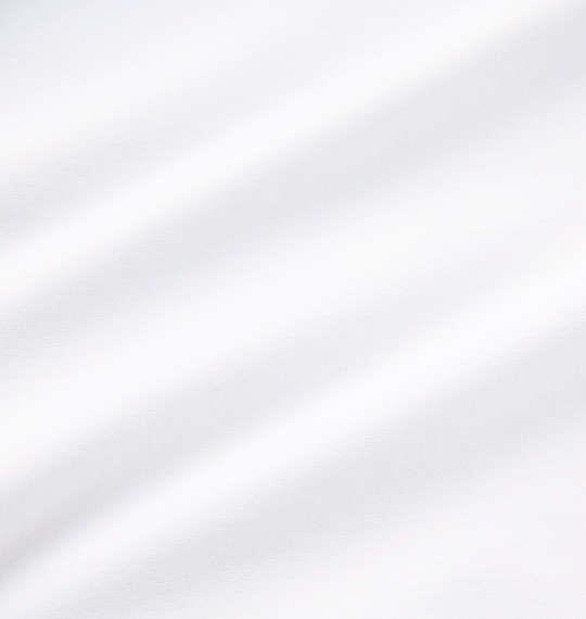 大きいサイズ メンズ DESCENTE S.F.TECH SUNSCREENスクエアロゴ 長袖 Tシャツ ホワイト 1278-3360-1 3L 4L 5L 6L