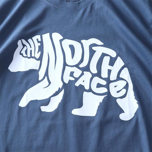 【SB0322】大きいサイズ メンズ THE NORTH FACE ノースフェイス プリント 半袖 Tシャツ BEAR TEE USA直輸入 nf0a84n7-of5