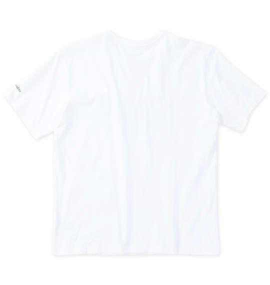 大きいサイズ メンズ Columbia ロッカウェイリバーグラフィック 半袖 Tシャツ ホワイト 1278-4240-1 1X 2X 3X 4X 5X 6X