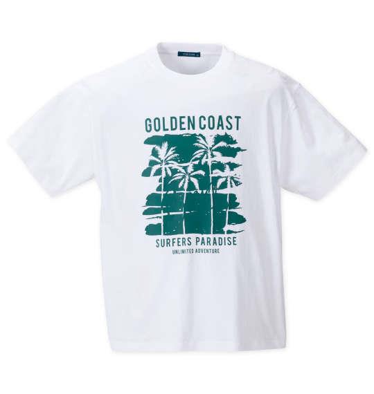 大きいサイズ メンズ COLLINS メッシュボタニカル柄プリント 半袖 フルジップ パーカー + 半袖 Tシャツ グリーン系 × ホワイト 1258-4242-1 3L 4L 5L 6L 8L