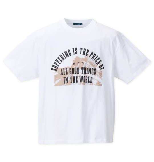 【max8】大きいサイズ メンズ COLLINS メッシュヒッコリー風プリント 半袖 フルジップ パーカー + 半袖 Tシャツ ネイビー × ホワイト 1258-4244-1 3L 4L 5L 6L 8L