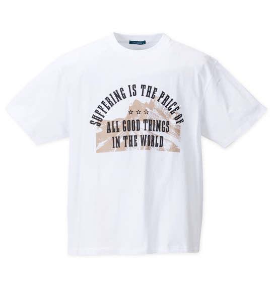 大きいサイズ メンズ COLLINS メッシュヒッコリー風プリント 半袖 フルジップ パーカー + 半袖 Tシャツ ネイビー × ホワイト 1258-4244-1 3L 4L 5L 6L 8L