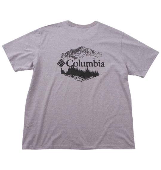 大きいサイズ メンズ Columbia ロッカウェイリバーバックグラフィック 半袖 Tシャツ コロンビアグレーヘザー 1278-4241-1 1X 2X 3X 4X 5X 6X