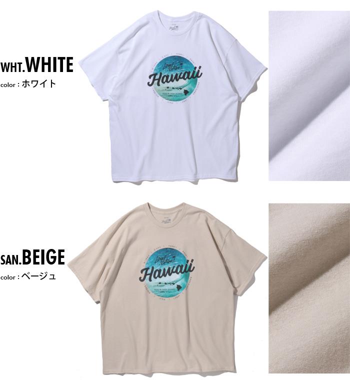 【SB0322】大きいサイズ メンズ LOCAL MOTION ローカルモーション 半袖 プリント Tシャツ USA直輸入 smt20307az