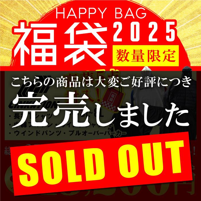 【2025fuku】先行予約販売 大きいサイズ メンズ 3L 4L 5L 6L 8L LINKATION 2025年 福袋 数量限定 lk10000-24