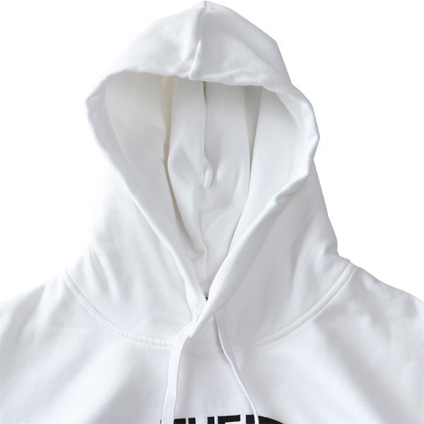 大きいサイズ メンズ THE NORTH FACE ノースフェイス スウェット プルオーバー パーカー DREW PEAK PULLOVER USA直輸入 nf0a89em-la9