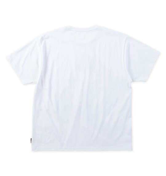 大きいサイズ メンズ DCSHOES 25MONO BIG STAR 半袖 Tシャツ ホワイト 1278-5270-1 3L 4L 5L 6L