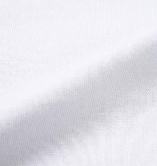 大きいサイズ メンズ DCSHOES 25MONO BIG STAR 半袖 Tシャツ ホワイト 1278-5270-1 3L 4L 5L 6L