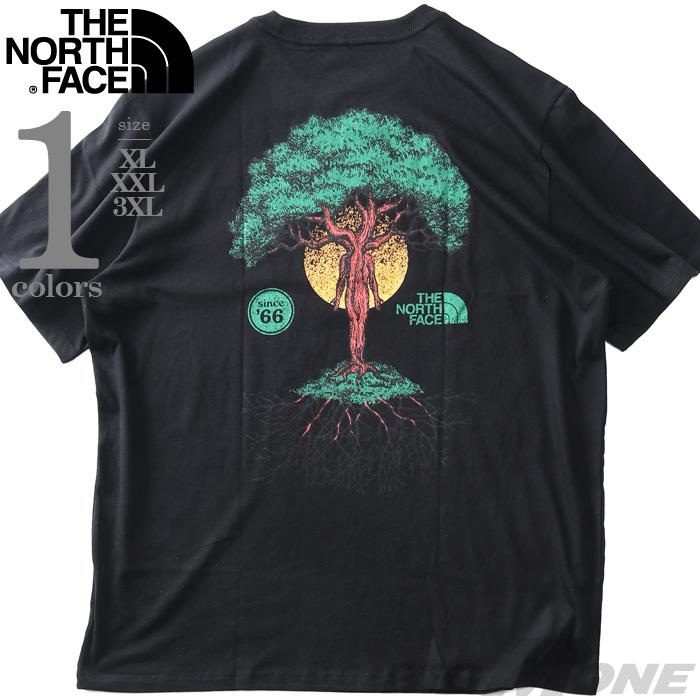 大きいサイズ メンズ THE NORTH FACE ノースフェイス プリント 半袖 Tシャツ S/S CROWN SHYNESS TEE USA直輸入 nf0a8b0c-ody