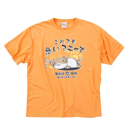 大きいサイズ メンズ NECOBUCHI-SAN DRY ハニカムメッシュ 半袖 Tシャツ オレンジ 1258-5226-1 3L 4L 5L 6L 8L