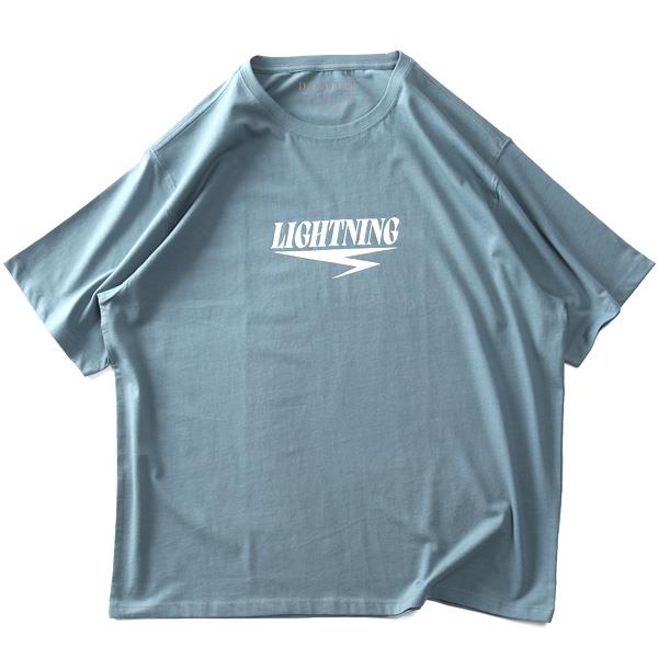 大きいサイズ メンズ DANIEL DODD プリント 半袖 Tシャツ 全8色 春夏新作 azt-2502pt5