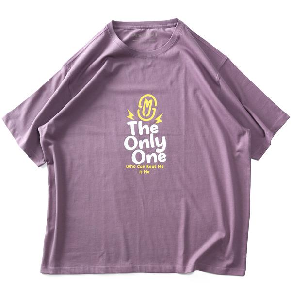 大きいサイズ メンズ DANIEL DODD プリント 半袖 Tシャツ 全8色 春夏新作 azt-2502pt5