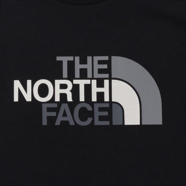 【ns623】大きいサイズ メンズ THE NORTH FACE ノースフェイス プリント 半袖 Tシャツ USA直輸入 nf0a8a6c-jk3