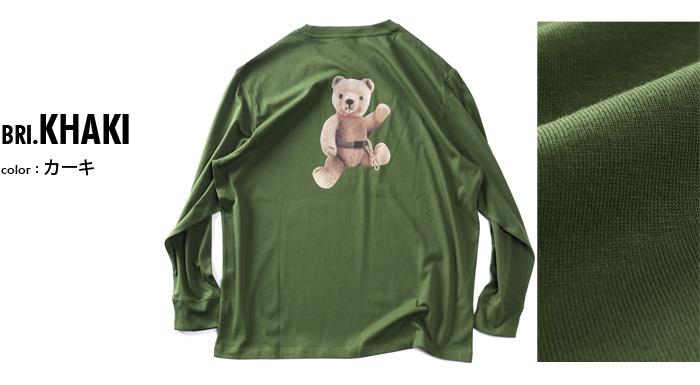 大きいサイズ メンズ THE NORTH FACE ノースフェイス プリント ロング Tシャツ USA直輸入 nf0a8f0j-bri