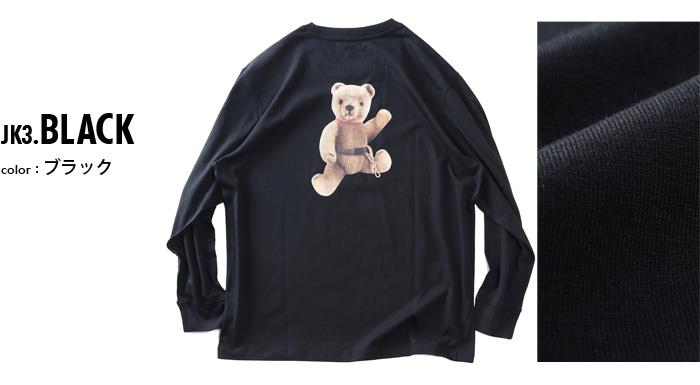 大きいサイズ メンズ THE NORTH FACE ノースフェイス プリント ロング Tシャツ USA直輸入 nf0a8f0j-jk3