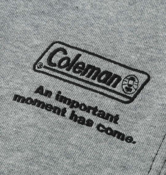 大きいサイズ メンズ Coleman 裏起毛 スウェット ペインター パンツ グレー 1274-5303-1 3L 4L 5L 6L 8L