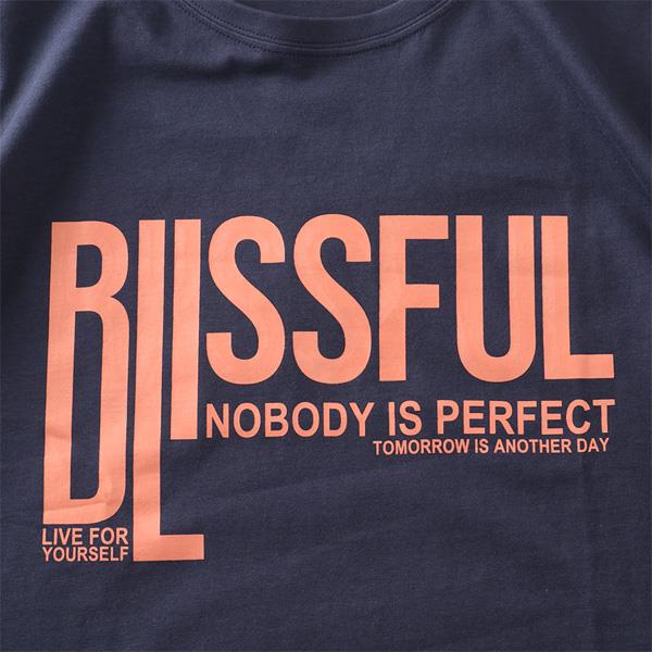 大きいサイズ メンズ DANIEL DODD プリント ロング Tシャツ 全10色 春夏新作 azt-2601pt1