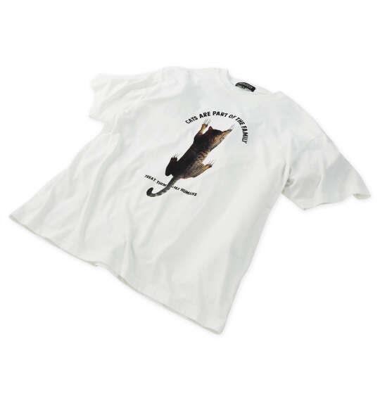 大きいサイズ メンズ RIMASTER VISION 天竺トリックアート 半袖 Tシャツ ホワイト 1268-6216-1 3L 4L 5L 6L 8L