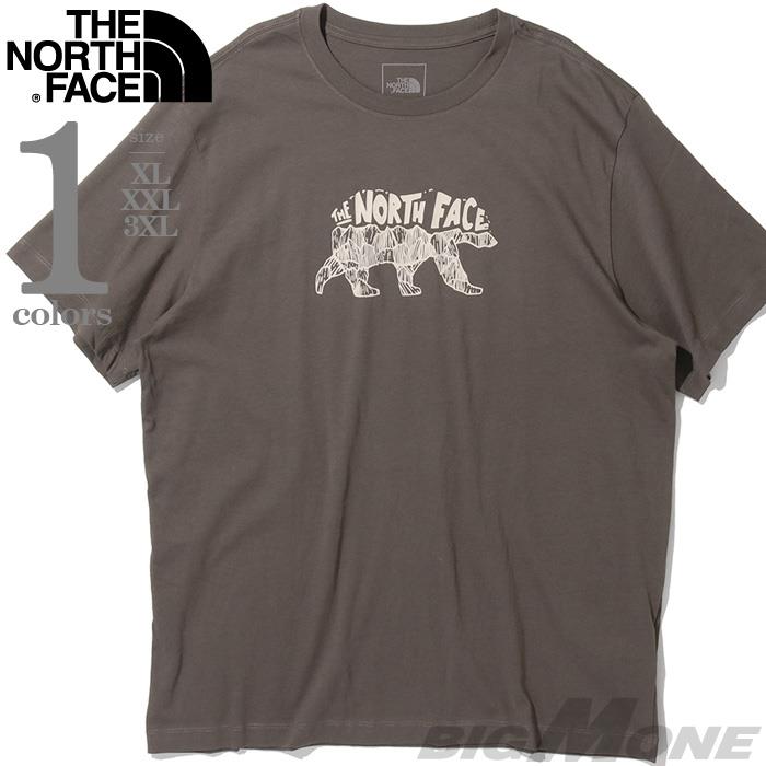 大きいサイズ メンズ THE NORTH FACE ノースフェイス プリント 半袖 Tシャツ USA直輸入 nf0a8fmv-1oi