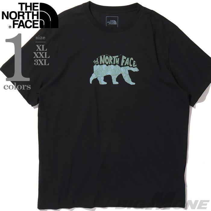 大きいサイズ メンズ THE NORTH FACE ノースフェイス プリント 半袖 Tシャツ USA直輸入 nf0a8fmv-jk3