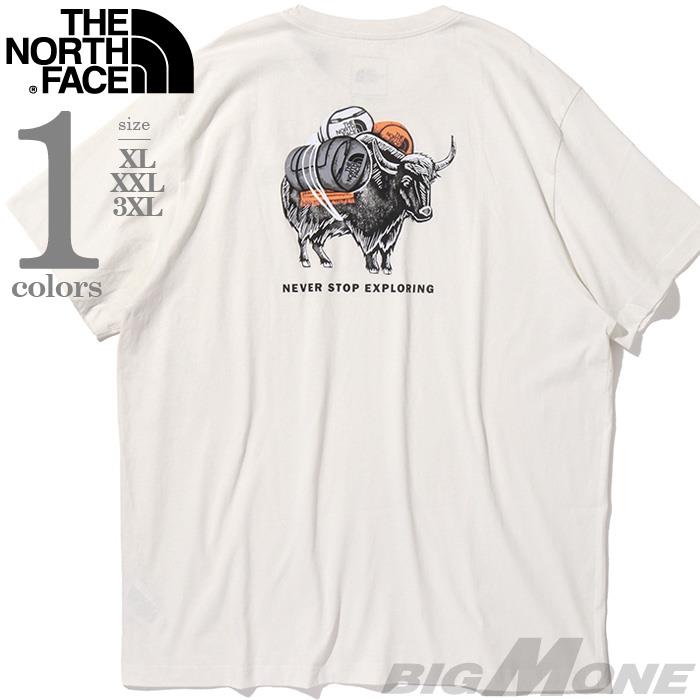 大きいサイズ メンズ THE NORTH FACE ノースフェイス プリント 半袖 Tシャツ USA直輸入 nf0a8fna-qli