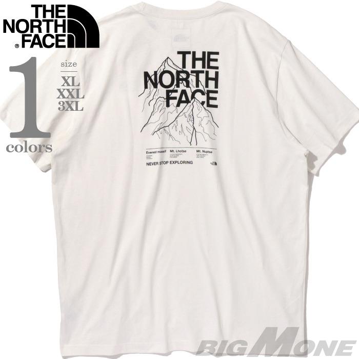大きいサイズ メンズ THE NORTH FACE ノースフェイス プリント 半袖 Tシャツ USA直輸入 nf0a8fne-qli