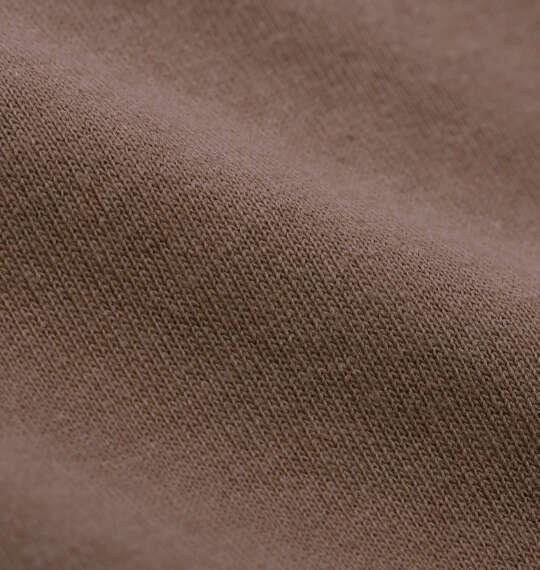 大きいサイズ メンズ DICKIES DICKIESテキストロゴ 半袖 Tシャツ ブラウン 1278-6530-4 3L 4L 5L