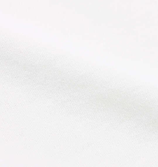 大きいサイズ メンズ DICKIES ハンドドローイング 半袖 Tシャツ ホワイト 1278-6531-1 3L 4L 5L