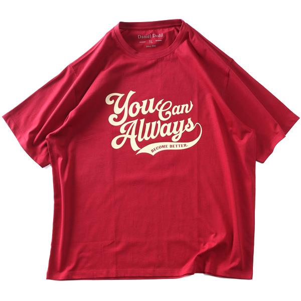 大きいサイズ メンズ DANIEL DODD プリント 半袖 Tシャツ 全8色 春夏新作 azt-2602pt4 【fre】