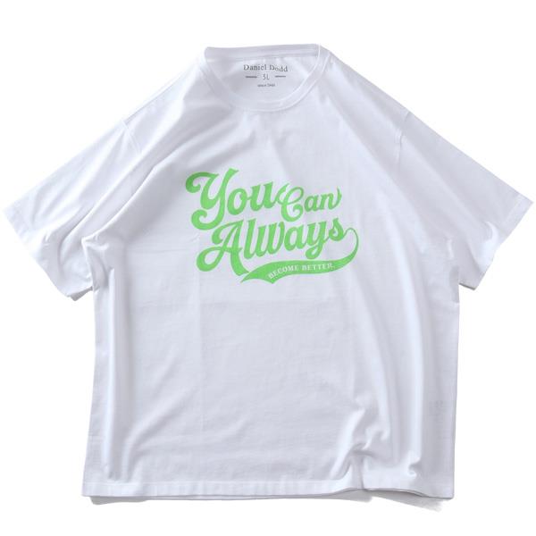 大きいサイズ メンズ DANIEL DODD プリント 半袖 Tシャツ 全8色 春夏新作 azt-2602pt4 【fre】
