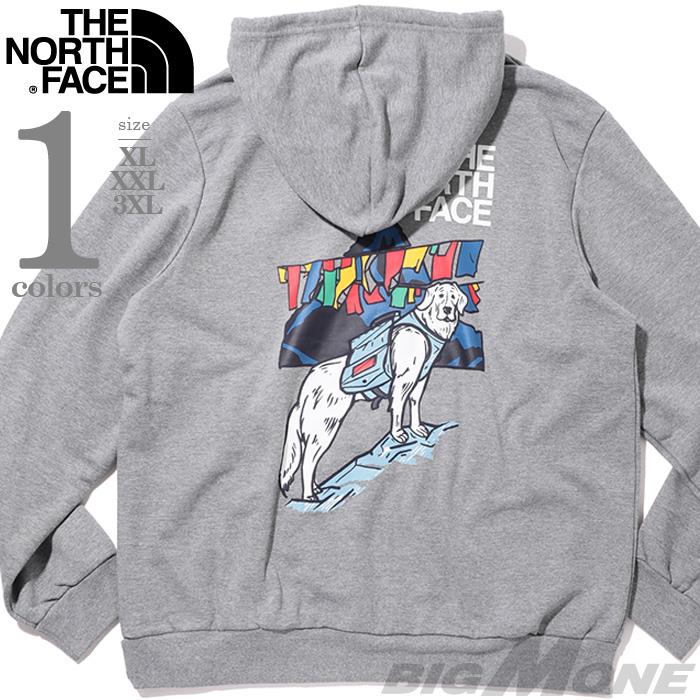 大きいサイズ メンズ THE NORTH FACE ノースフェイス プリント プルオーバー パーカー USA直輸入 nf0a8gs9-cqi