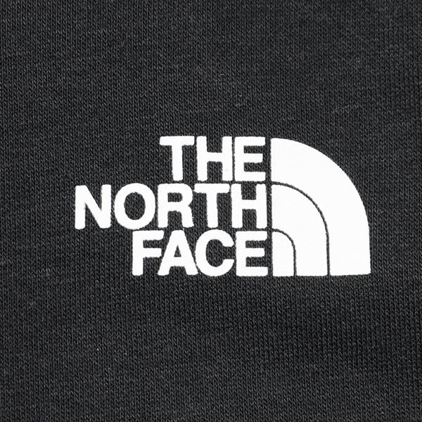 大きいサイズ メンズ THE NORTH FACE ノースフェイス プリント プルオーバー パーカー USA直輸入 nf0a8gs9-jk3