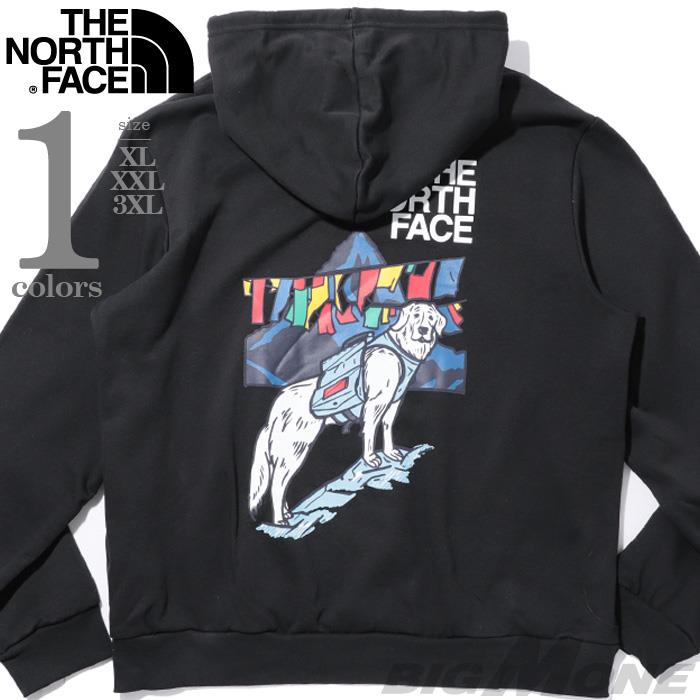 大きいサイズ メンズ THE NORTH FACE ノースフェイス プリント プルオーバー パーカー USA直輸入 nf0a8gs9-jk3